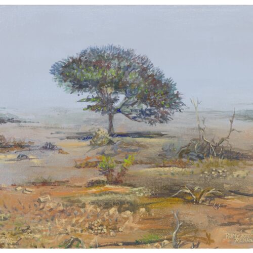 תמונה 2 מהצגת רוח הארץ Spirit of Israeli land – רומי רנן