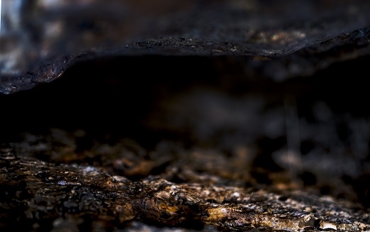 פינוקיו הצגת ילדים