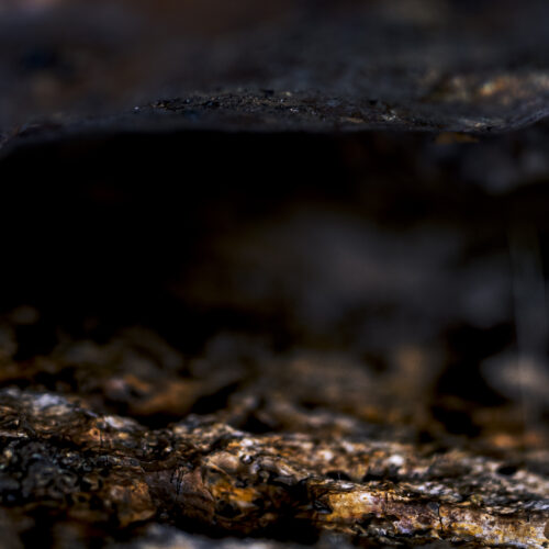 תמונה 3 מהצגת Alone In Darkness – רועי בלדינגר