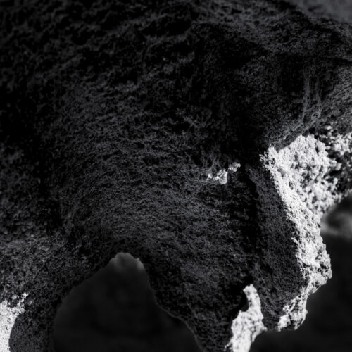 תמונה 4 מהצגת Alone In Darkness – רועי בלדינגר