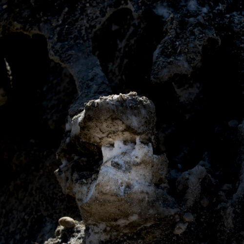 תמונה 1 מהצגת Alone In Darkness – רועי בלדינגר