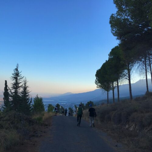 תערוכת קום והתהלך בארץ