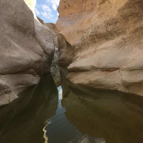 תערוכת קום והתהלך בארץ