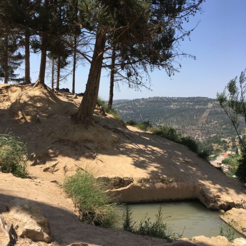 תערוכת קום והתהלך בארץ