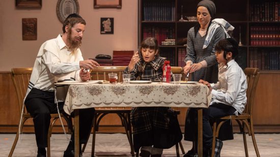 פינק ליידי | תיאטרון באר שבע