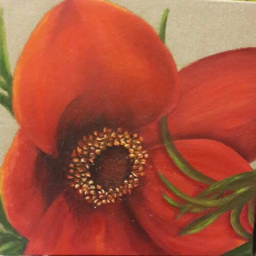 תערוכה: פריחה של יצירתיות