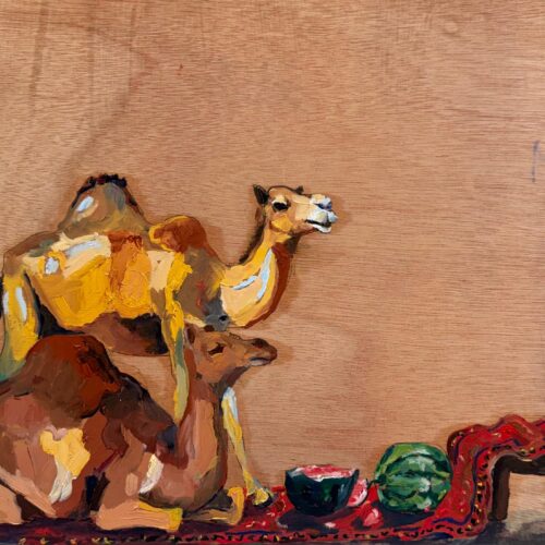 עידן שויאר - האור שבפצע